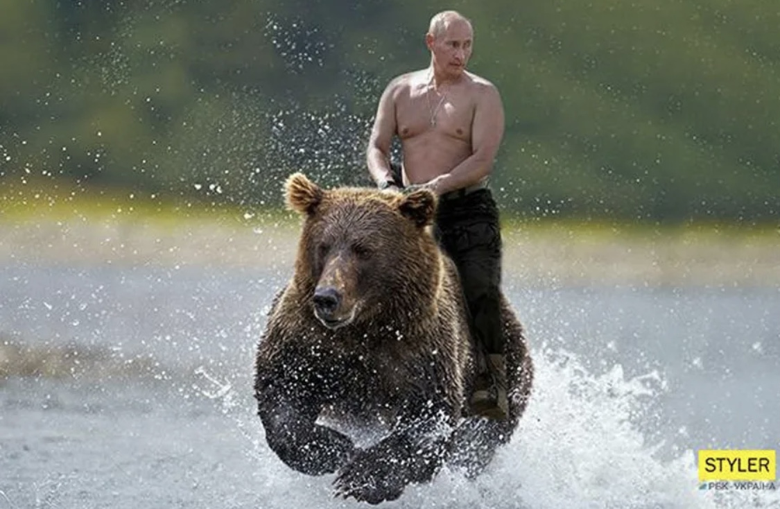 Владимир Путин на медведе