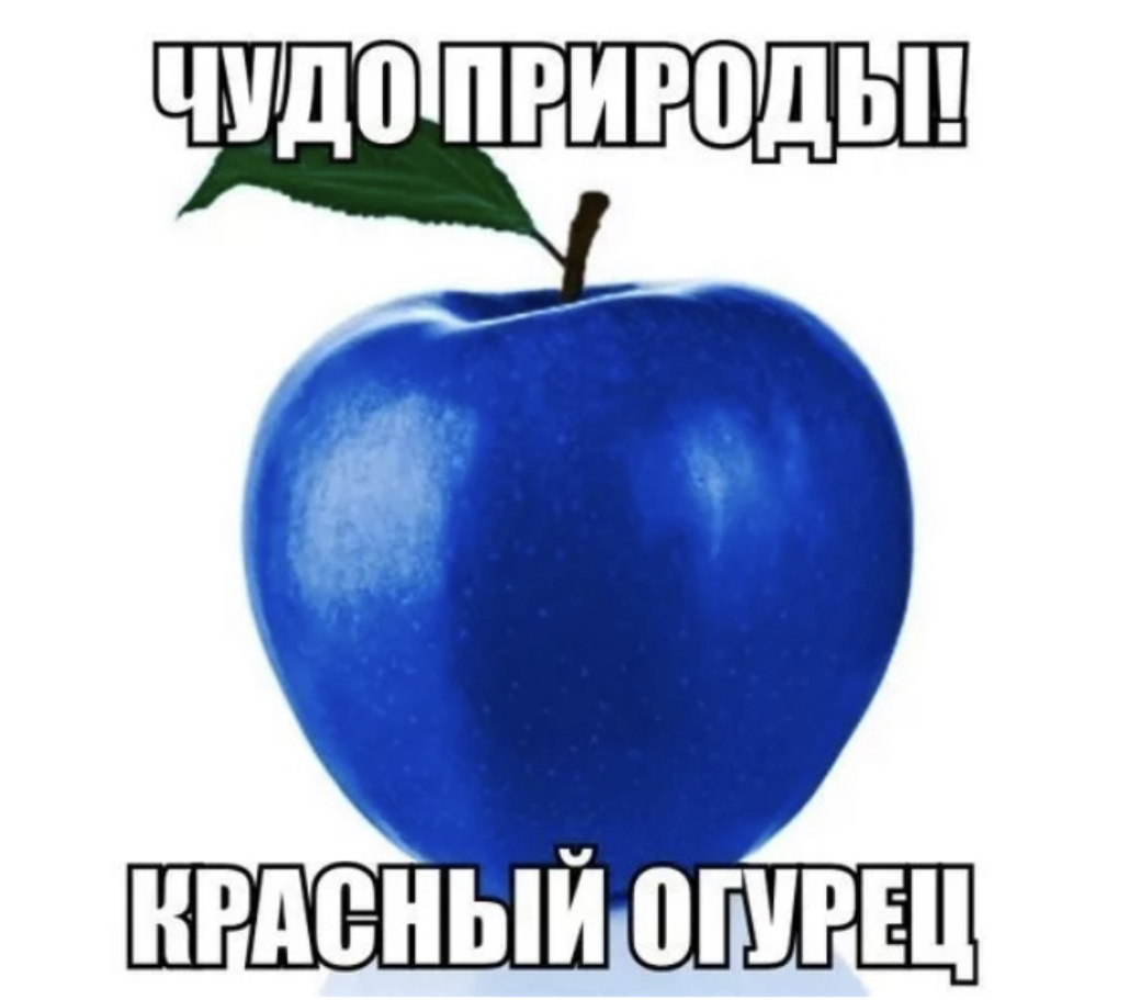 Я говорю яблоко. Синее яблоко. Яблоко синего цвета. Яблоко на белом фоне. Голубое яблоко сорт.